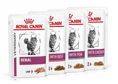 Royal Canin Renal Nasfutter Sortiment für Katzen