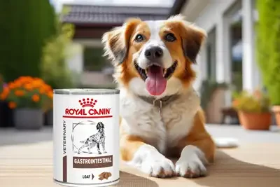 Glücklicher Hund mit einer Nassfutter Dose Royal Canin Gastro Intestinal Hund