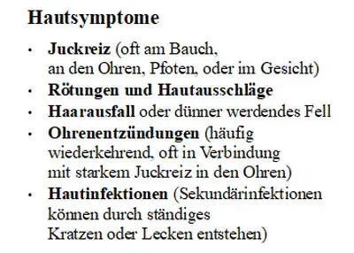 Wolfsblut Hypoallergen bei Allergie Symptome