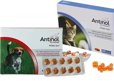 Antinol fuer Hunde und Katzen