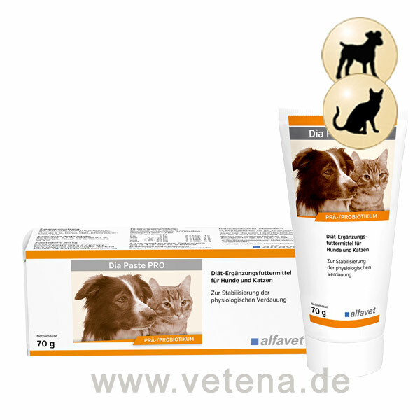 Alfavet Dia Paste & Katze | Prae-/Probiotikum