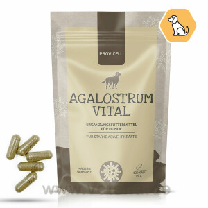 Agalostrum Vital für Hunde