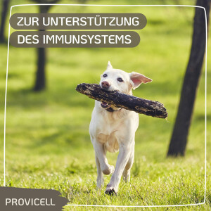 Immun Vital für Hunde