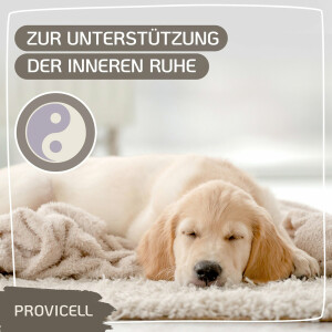 Relax Vital für Hunde