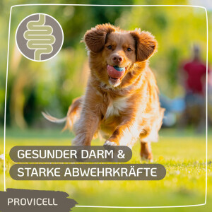 250 ml Em Vital Hund