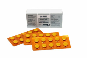 100 Tabletten Gastrosel