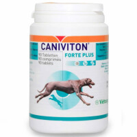 90 Kautabletten Caniviton Forte Plus