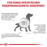 Royal Canin Gastrointestinal Low Fat Trockenfutter für Hunde