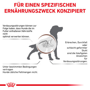 6 kg Royal Canin Gastrointestinal Low Fat - Hund