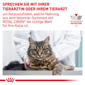 2 kg Royal Canin Renal - Katze