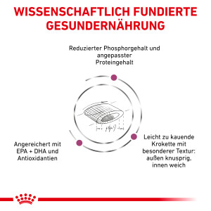 400 g Royal Canin Renal Select Katze