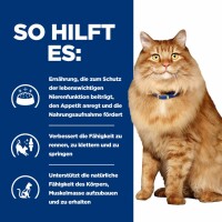 Hills k/d + Mobility Nassfutter für Katzen