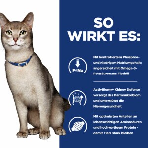 Hills k/d Trockenfutter für Katzen