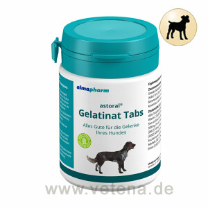Gelatinat Tabs für Hunde