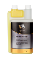 1 L Equanis VitaminBooster