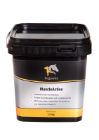 1,5 kg Equanis MuscleActive