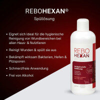 500 ml ReboHexan Spüllösung