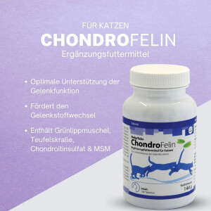 ReboTabs ChondroFelin für Katzen