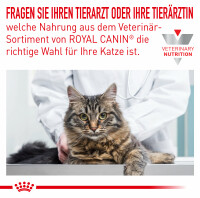Sparpaket Royal Canin Sensitivity Control für Katzen