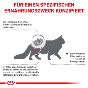 Sparpaket Royal Canin Early Renal für Katzen