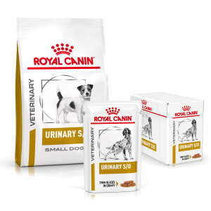 Sparpaket 4 kg + 12x100 g Royal Canin Urinary S/O für Hunde