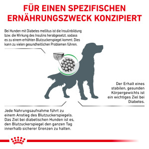 Sparpaket Royal Canin Diabetic für Hunde