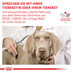 Sparpaket Royal Canin Diabetic für Hunde