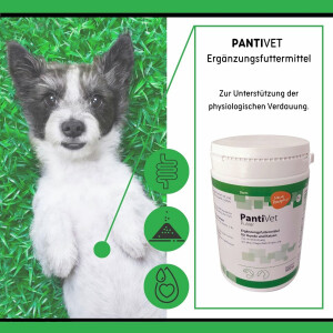 reboVet PantiVet für Hunde & Katzen