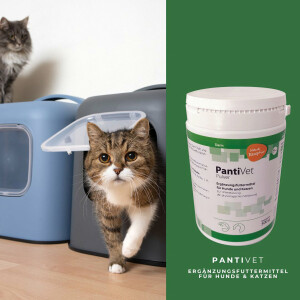 reboVet PantiVet für Hunde & Katzen