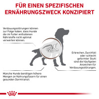 Sparpaket Royal Canin Gastrointestinal High Fibre für Hunde