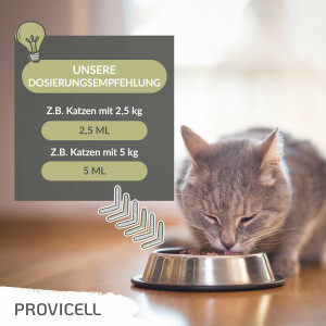 Em Vital für Katzen