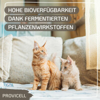 Em Vital für Katzen