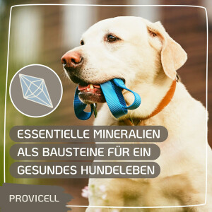 Mineral Vital für Hunde