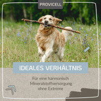 Mineral Vital für Hunde