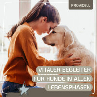 Mineral Vital für Hunde