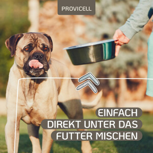 Para-W Vital für Hunde