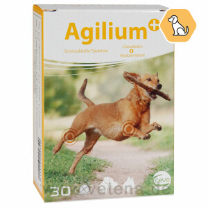 Agilium+ für Hunde