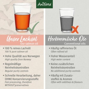 1 Liter AniForte Lachsöl