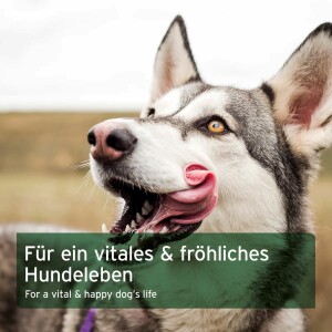 AniForte BARF Complete für Hunde