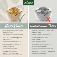 AniForte Grünlippmuschel Pulver für Hund, Katze & Pferd