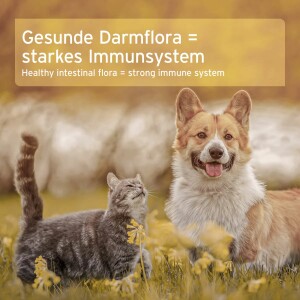 AniForte Naturmoor für Hunde & Katzen