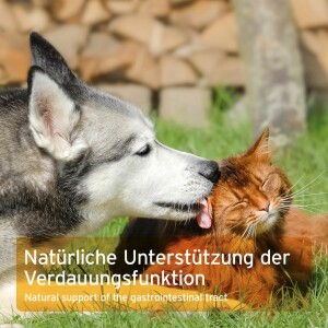 AniForte Ulmenrinde für Hunde & Katzen