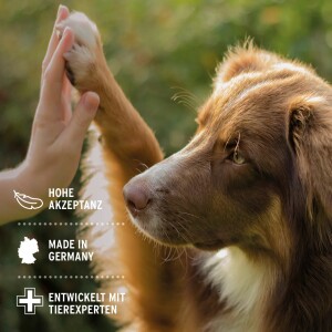 AniForte Denta Clean & Care Pulver für Hunde & Katzen