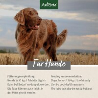 AniForte AgilityVET Gelenktabletten für Hunde