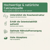 AniForte BARF-Line Gemahlene Knochen vom Rind für Hunde & Katzen