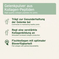 AniForte Kollagen Pulver für Hunde & Katzen