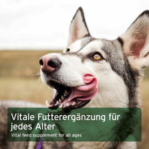 AniForte BARF-Line Früchte & Gemüse mit Kräutern für Hunde