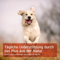 AniForte Hagebutten Pulver für Hund & Katzen