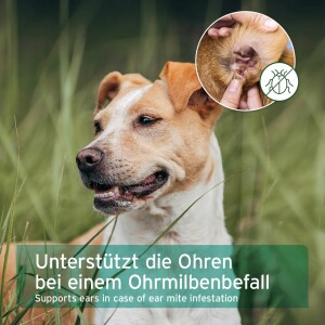 AniForte Ohrmilbenöl für Hunde, Katzen & Nager