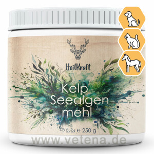 HeilKraft Kelp Seealgenmehl - Natürlicher...